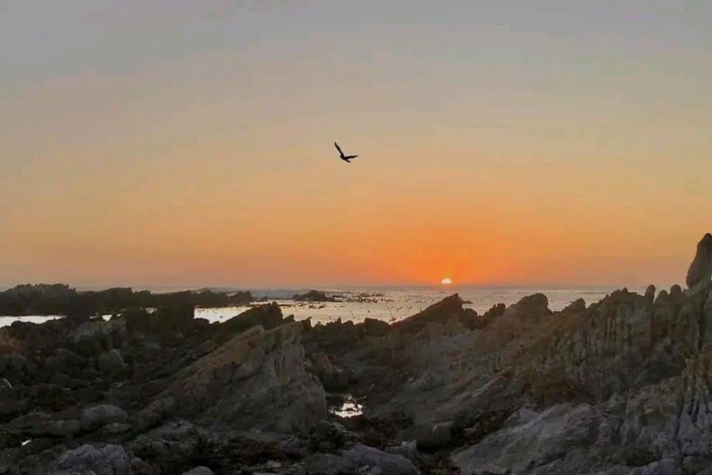 Hermanus Sea View Room Exterior foto